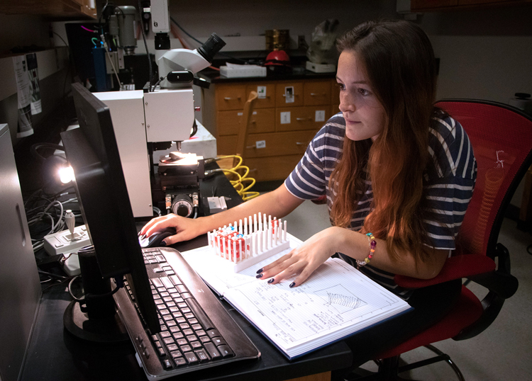 graduate student analyzing sample data