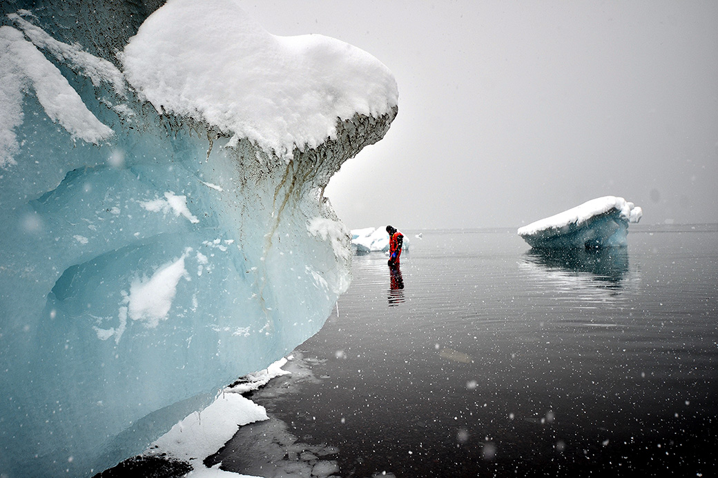 A scientist collecting water samples in shallows near an ice sheet and ice bergs